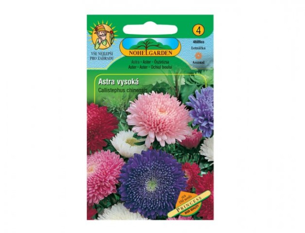 Astra čínská vysoká PRINCESS, směs (1)