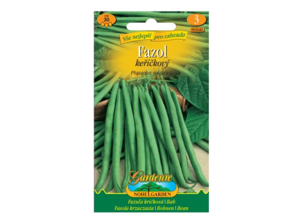 Fazol keříčkový, zelený (1)