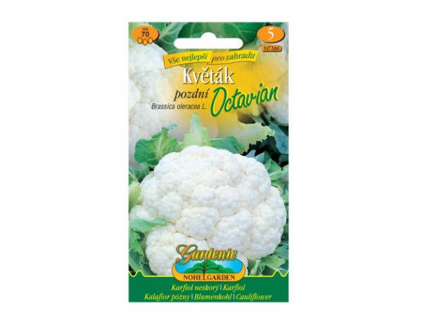 Květák pozdní OCTAVIAN (1)