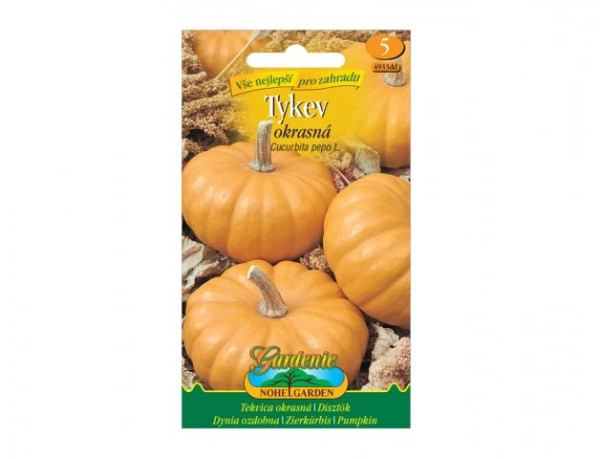 Tykev okrasná, oranžová (1)