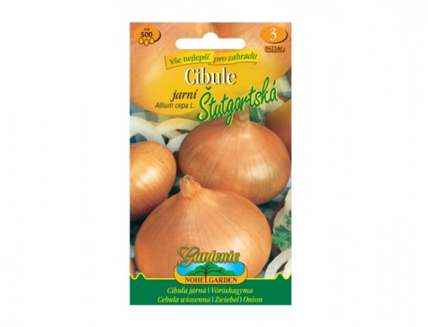 Cibule jarní ŠTUTGARTSKÁ, žlutá (1)