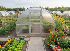 Skleník VITAVIA BOHEMY 24000 PC 8 mm LG4186 (3)