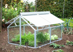 Pařeniště VITAVIA GAIA JUMBO čiré sklo 3 mm stříbrné LG3737