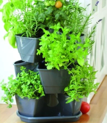 Květináče vertikální s nůžkami na bylinky MINI CASCADE antracit (4)