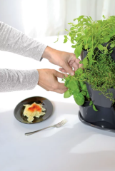 Květináče vertikální s nůžkami na bylinky MINI CASCADE antracit (6)