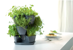 Květináč na bylinky COUBI HERBAL grafit 29,5cm (8)