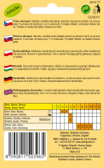 Tykev okrasná kulatá, oranžová (2)