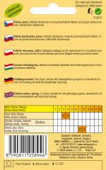 Cibule jarní ŠTUTGARTSKÁ, žlutá (2)